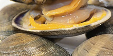 ALMEJAS
