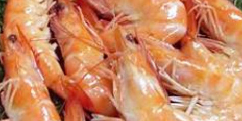 langostino